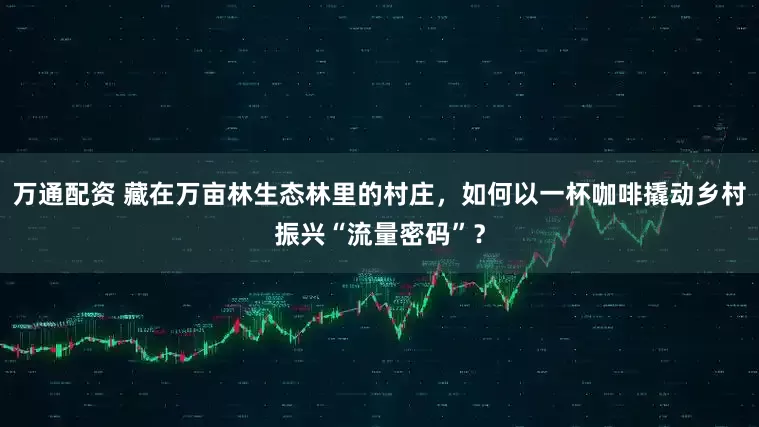 万通配资 藏在万亩林生态林里的村庄，如何以一杯咖啡撬动乡村振兴“流量密码”？
