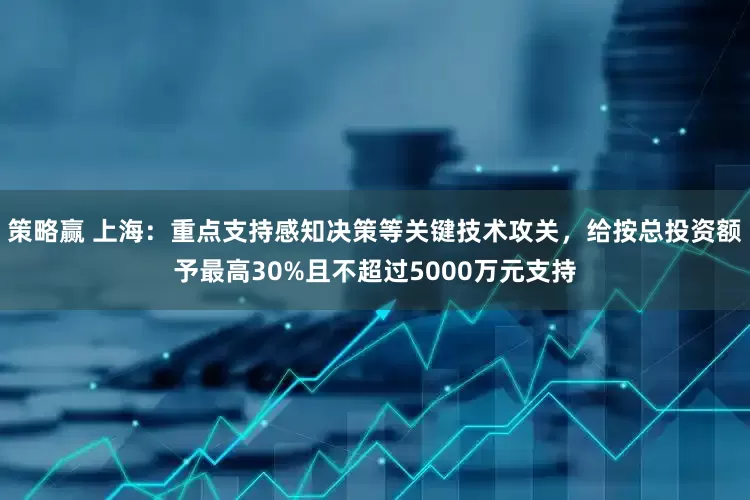 策略赢 上海：重点支持感知决策等关键技术攻关，给按总投资额予最高30%且不超过5000万元支持