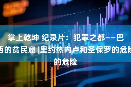 掌上乾坤 纪录片：犯罪之都——巴西的贫民窟 |里约热内卢和圣保罗的危险